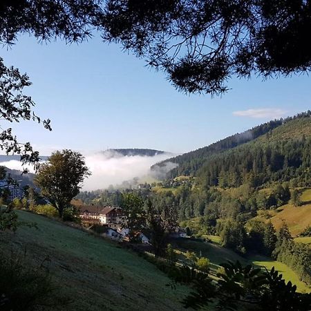Ferienwohnung Tonbachtal バイアースブロン エクステリア 写真