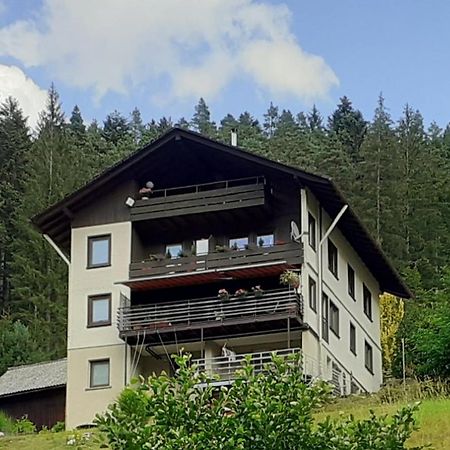 Ferienwohnung Tonbachtal バイアースブロン エクステリア 写真