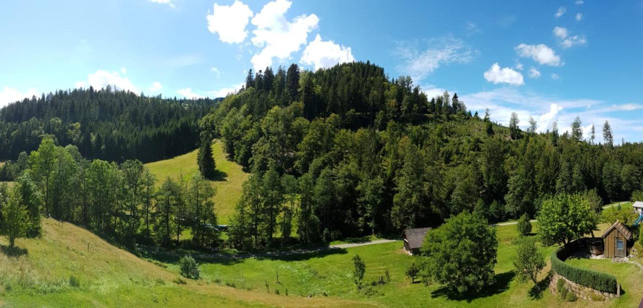 Ferienwohnung Tonbachtal バイアースブロン エクステリア 写真